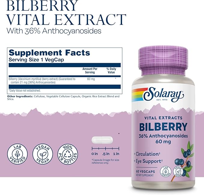 SOLARAY Bilberry Berry Extract 60 mg | Powerful Antioxidant | Healthy Vision &amp Circulation Support | 60 VegCaps