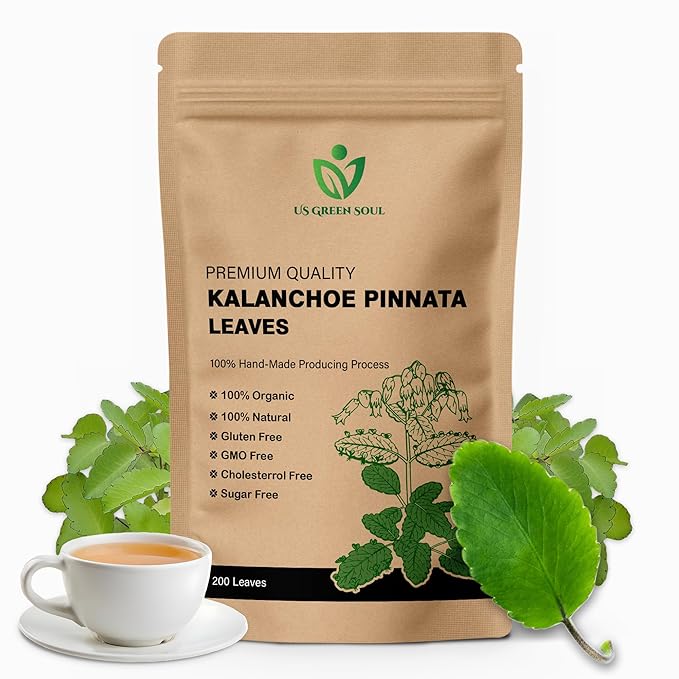 200 Kalanchoe Pinnata Leaves - 100% Pure Organic Dried Leaves for Teas Smoothies