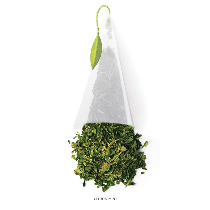 Tea Forte Citrus Mint Herbal Tea Event Box Bulk Pack of 48 Pyramid Infuser Tea Sachets for All Occasions