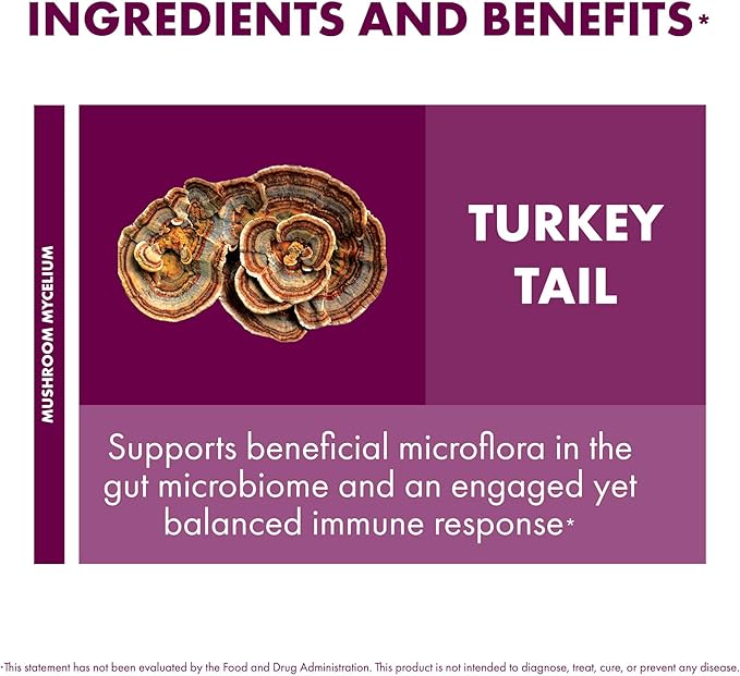 Host Defense Turkey Tail Capsules 240 ct (Pack of Two 120 ct Units)