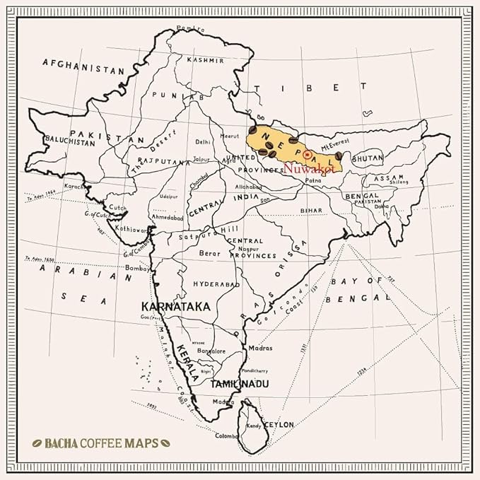 Bacha Coffee | Mount Everest Nepal Single Origin Arabica 100% Arabica Specialty Coffee 12 Coffee Drip Bags Gift Box