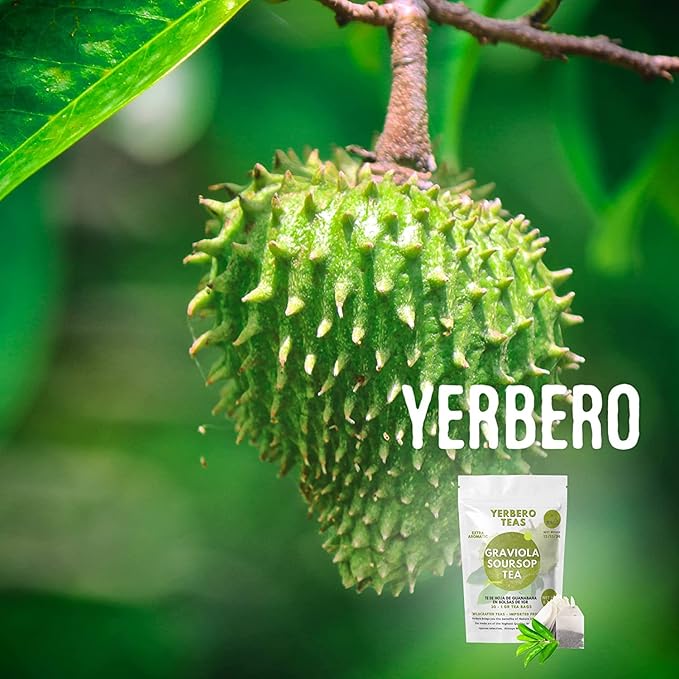 Yerbero - Whole Wildcrafted Dried Graviola Soursop Leaves 1 LB (453g - 1300+ Leaves Per Bag) Hoja De Guanabana Seca Crafted By Nature | Vacuum Sealed for Freshness | From Mexico | Premium Quality.