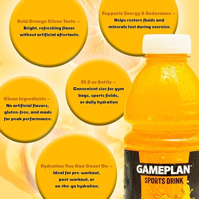 Gameplan Sports Drink Variety Pack - Fruit Punch Mixed Berry Lemmon Lime Orange - 20 FL OZ - 12 Pack