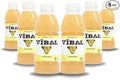 VIBAL ENERGY TEA Lemonade 16 Fl Oz 6-Pack Natural Energy High Caffeine Ginseng Theanine Low Sugar Low Carb Low Calorie Adaptogens Nootropics