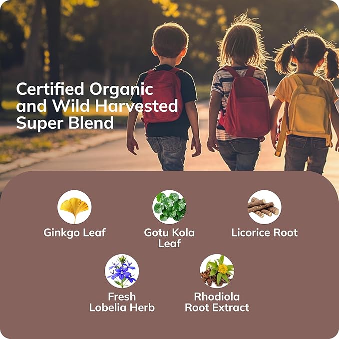 Grama Wellness - Focus &amp Attention Organic Kids Brain Vitamins &amp Cognitive Support Drops ADHD Supplement with Ginkgo Biloba Rhodiola Gotu Kola Licorice Root | Made in USA – 30 Servings