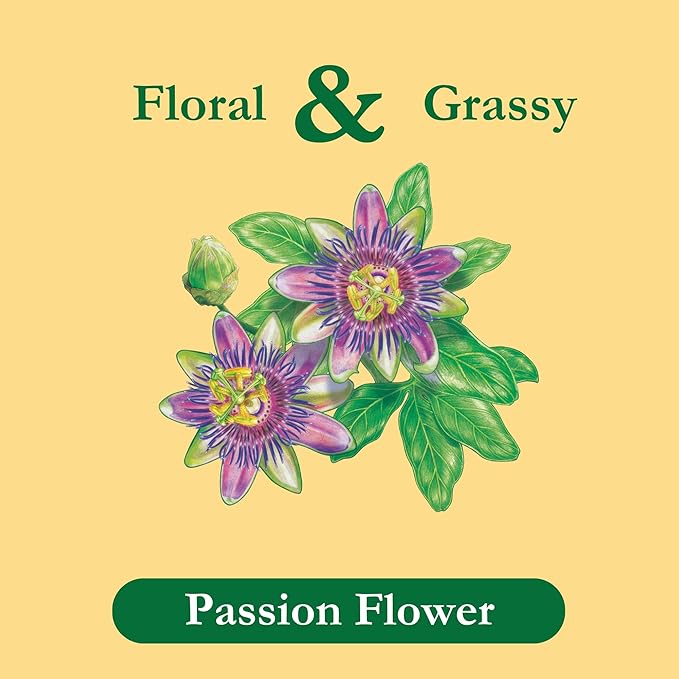 Tadin Passion Flower Herbal Tea Caffeine Free 24 Tea Bags Per Box Pack of 6 Boxes Total