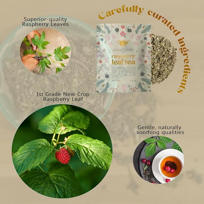 Raspberry Leaf Tea Loose Leaf Herbal Tea – Supports Pregnancy &amp Labor Prep Natural Menstrual Pain Relief – Women's Health – 4.4 oz Resealable Bag (Makes 50 Cups) – The Elegant Elephant