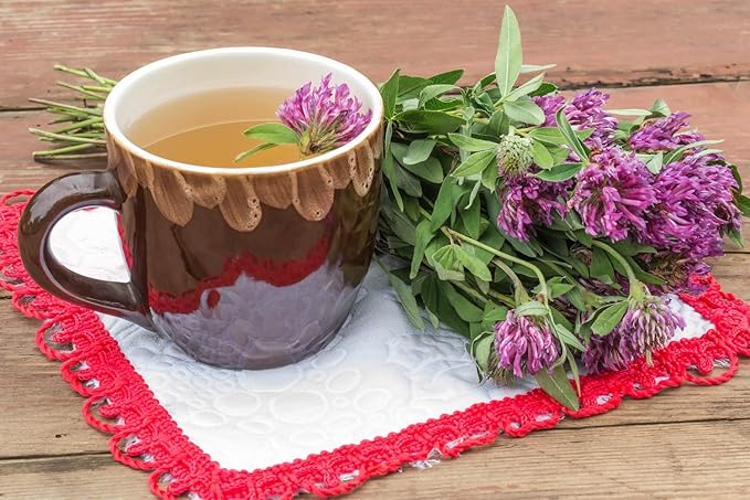 Health Embassy Red Clover Flower | Trifolium Pratense L | Herbal Tea (50g)