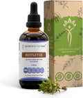 Secrets of the Tribe Mistletoe Tincture Alcohol-Free Liquid Extract Mistletoe (Viscum Album) Dried Herb (4 FL OZ)