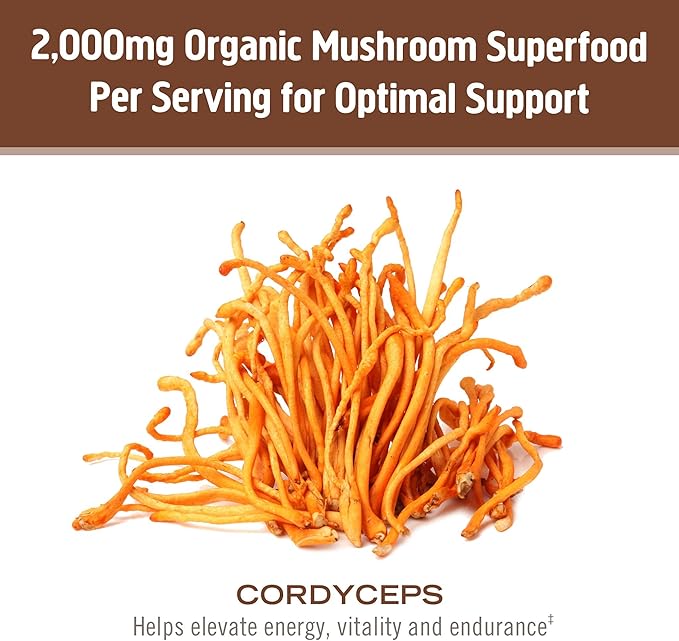 OM Mushroom Cordyceps Powder 7.05 oz (100 Servings) – Organic Vegan Non-GMO Gluten-Free – Energy Stamina &amp Endurance Support – Adaptogenic Superfood for Sports Performance Smoothies &amp Te