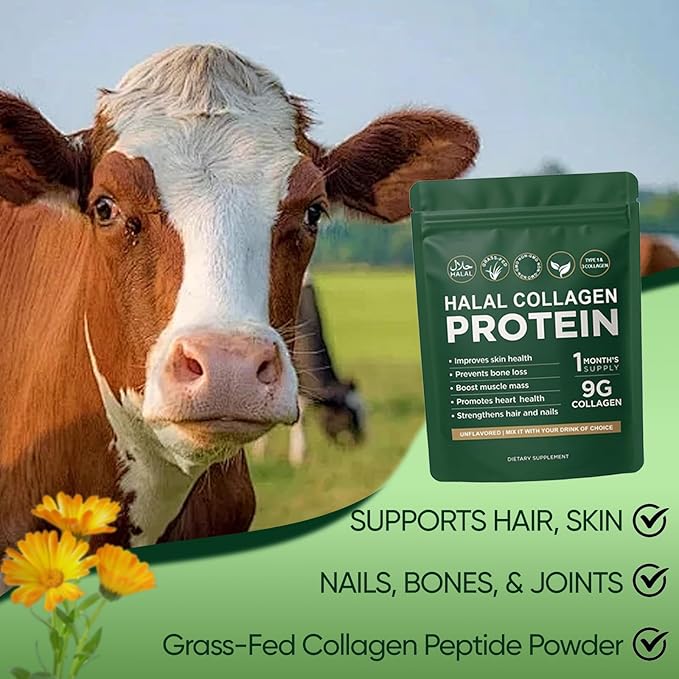 Halal Collagen Protein Powder Grass-Fed Collagen Peptides Powder Type I&ampIII 100% Hydrolyzed for Hair Skin Nails Gut Bone &amp Joint Health for Women and Men Sugar Free Unflavoured (1)