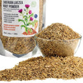 Siberian Green Maral Root Tea Loose Powder 300g (10.58oz) with Ginseng Eleuthero Wild Harvested Leuzea Rhaponticum carthamoides from Altai
