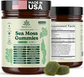 Natural Rems Sea Moss Gummies 16-in-1 - Ashwagandha Black Seed Oil Bladder Wrack Turmeric Vitamin C &amp D3 with Manuka Burdock Root Dandelion Yellow Dock Elderberry Apple Cider Vinegar (Green Apple)