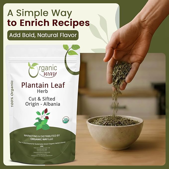 Organic Way Plantain Leaf Cut and Sifted - Herbal Tea | European Wild-Harvest | Organic &amp Kosher Certified | Non GMO &amp USDA Certified - Origin Albania (16 Ounce Pack)