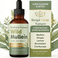 1Pcs Wild Mullein Leaf ExtractGinger &amp Lemon for Lung Cleanse Vegan Non-GMO (1 Bottle)