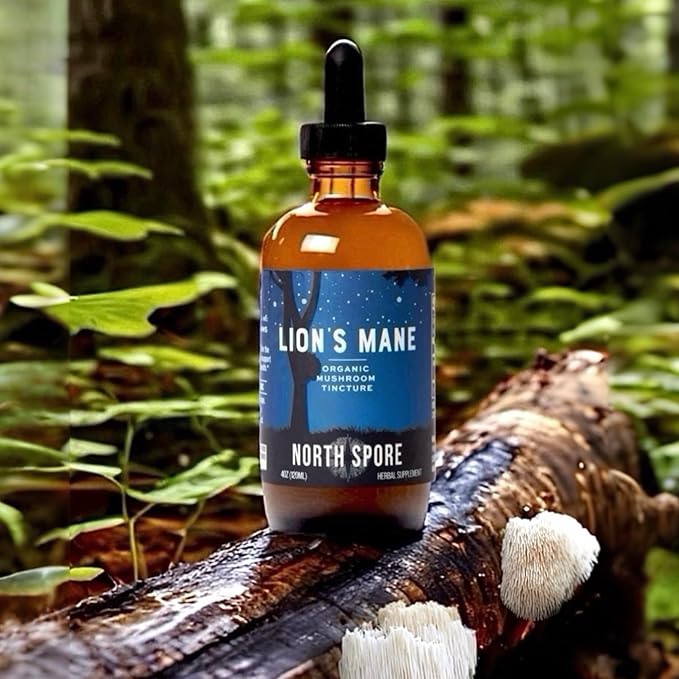 North Spore Organic Lion's Mane Mushroom Tincture (2 oz) | 100% Fruiting Body Extracts | for Focus Memory Brain Support | Certified Organic Vegan Non-GMO | Adaptogenic Nootropic | Made in USA