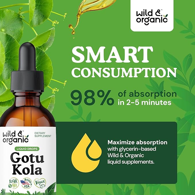 Wild &amp Organic Gotu Kola Herb Tincture - Brain Support - Gotu Kola Liquid Extract Drops - Vegan Sugar &amp Alcohol-Free Centella Asiatica Supplement - 2 fl oz