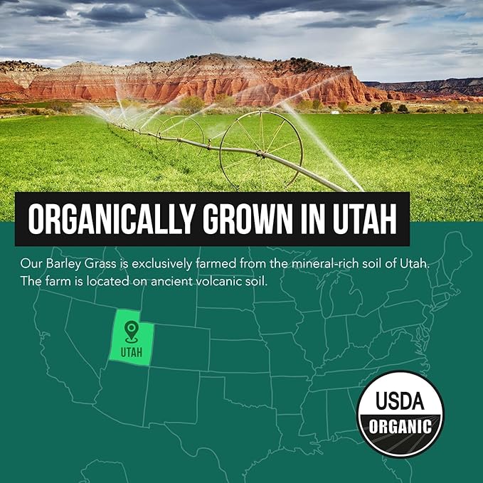 Organic Barley Grass Juice Powder - Grown in Volcanic Soil of Utah - Raw &amp BioActive Form Cold-Pressed then CO2 Dried – Gluten Free GMO free Vegan - Complements Wheatgrass Juice Powder - 5.3 oz