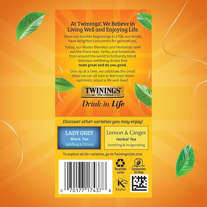 Twinings Earl Grey Extra Strong Black Tea Individually Wrapped Bags 20 Count (Pack of 6) Flavoured with Citrus and Bergamot Caffeinated Enjoy Hot or Iced 120 Teabags