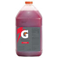 Gatorade - 33977 Concentrate Fruit Punch 768 Ounce (Pack of 4)