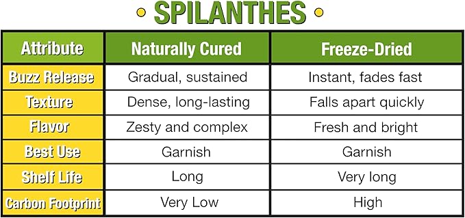 Buzz Button Edible Flowers aka Spilanthes aka Toothache Plant Narurally Cured for Maximum Spilanthol (1/2 Ounce)