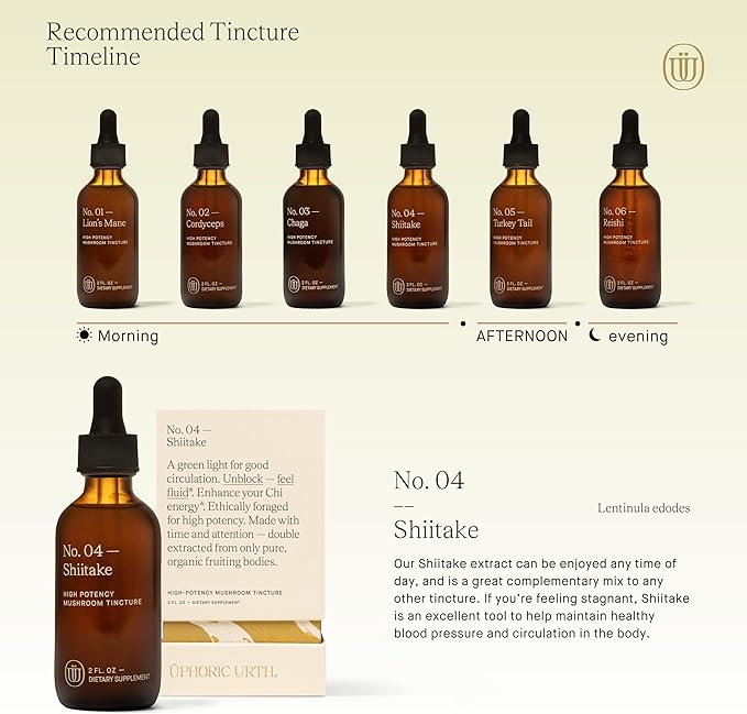 Mushroom Extract Tincture (Shiitake)