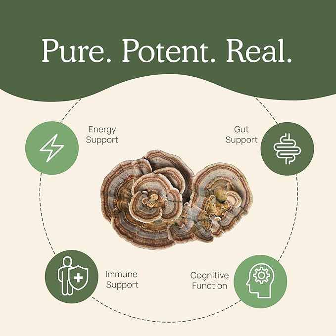 Real Mushrooms Turkey Tail Capsules – Organic Mushroom Extract for Wellness &amp Daily Rhythm – Vegan Non-GMO No Fillers Turkey Tail Extract – 90 Count Mushroom Supplement (Pack of 2)
