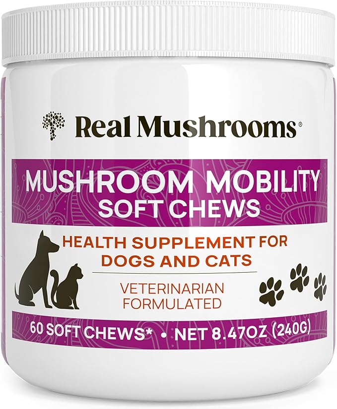 Real Mushrooms Mobility Chews for Dogs &amp Cats – Green Lipped Mussel &amp ErgoGold Mushroom Blend – Dogs &amp Cat Vitamins Treats for Active Routines – Joint Hip &amp Flexibility Support – 240