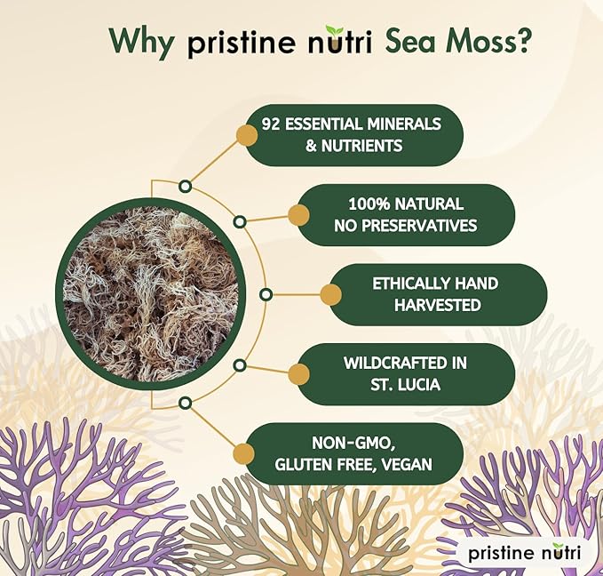 Sea Moss | Raw Wildcrafted Irish Seamoss from St. Lucia | Golden Sun-Dried | Makes 160+ oz of Sea Moss Gel | 100% Natural Vegan Non-GMO | True Mineral-Rich Superfood | 8 oz bulk package