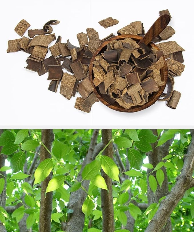 Organic Natural Pure Roasted Eucommia Bark Extract Herbal Pills - Concentrated 10.58 Ounce (300g)