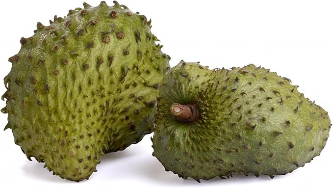 Organic Graviola Liquid Soursop Extract 4 oz Wildcrafted Tincture (Annona Muricata) : Immune System Booster (4oz)