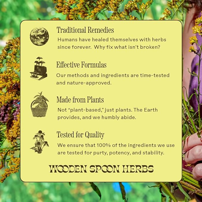 Wooden Spoon Herbs Elderberry Syrup | USDA Certified Organic Lung &amp Immune Support Tonic | Elderberry Syrup Blended with 6 Respiratory &amp Immune Support Herbs | Gluten-Free Non-GMO Vegan | 8