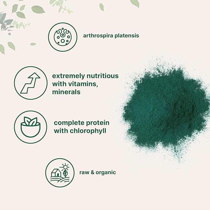 Micro Ingredients Organic Spirulina Powder 1lb | Blue-Green Algae Rich in Vegan Protein Vitamins &amp Minerals | Source of Natural Chlorophyll &amp Enzymes | Non-GMO Gluten-Free No Additives