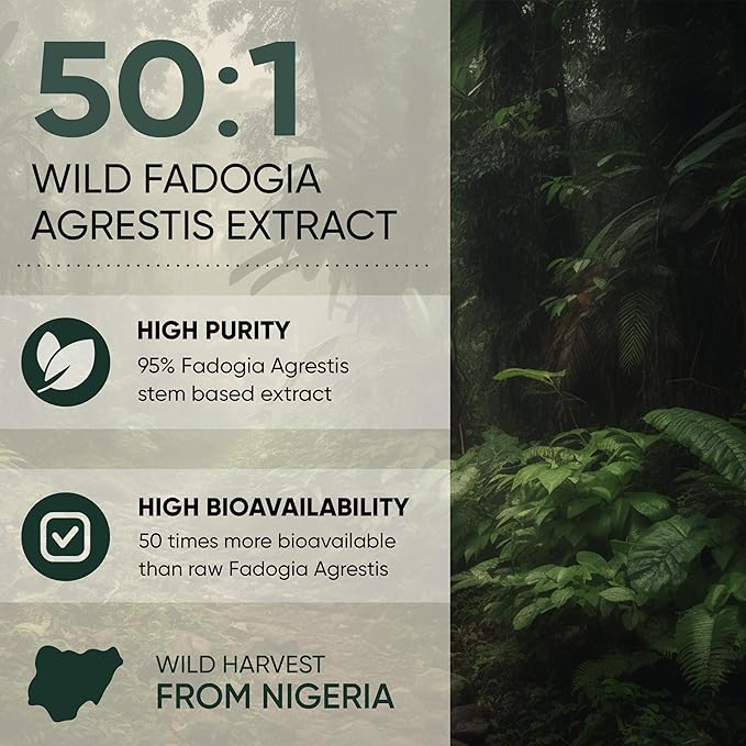 Jungle Powders Fadogia Agrestis Extract for Men 50:1 Concentration 313 Servings - 5 Ounces of Pure Nigerian Fadogia Supplement Traditional Mens Health Support for Drive &amp Passion Contains Maltodex