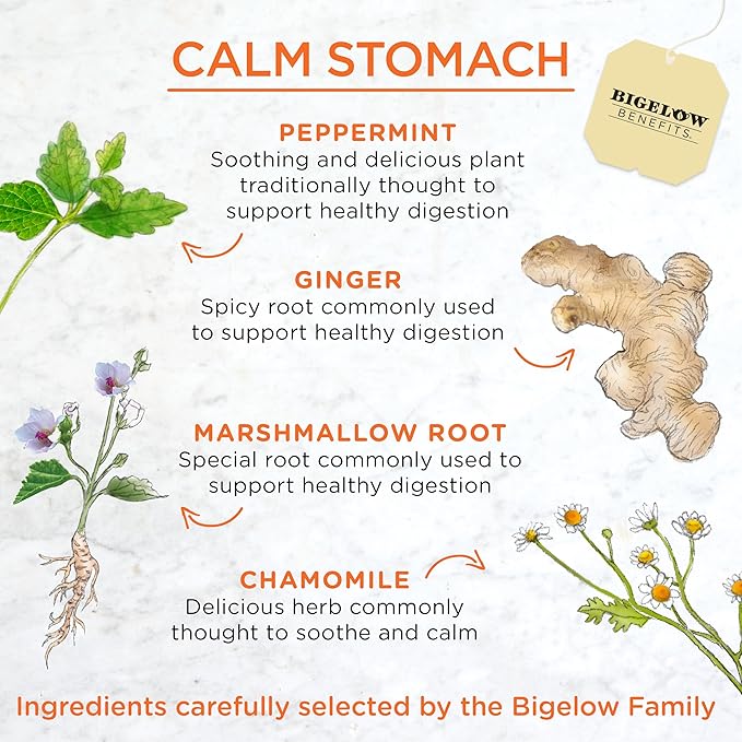 Bigelow Tea Benefits Calm Stomach Ginger Peach Herbal Tea Caffeine Free 18 Count (Pack of 6) 108 Total Tea Bags