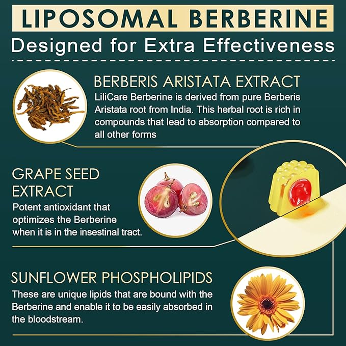Berberine 500mg Supplement Once Daily Liposomal Gummies with Ceylon Cinnamon Bitter Melon Banaba Leaf for Metabolism Balanced AMPK Activator High Absorption Sugar Free Vegan 60 Cts
