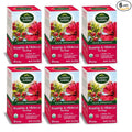 Garden of the Andes - Organic Rosehip &amp Hibiscus Tea - 6 Pack (20 Tea Bags/Box 120 Total) - Caffeine-Free Double-Chamber Glue-Free Tea Bags - Natural Vitamin C and Antioxidants