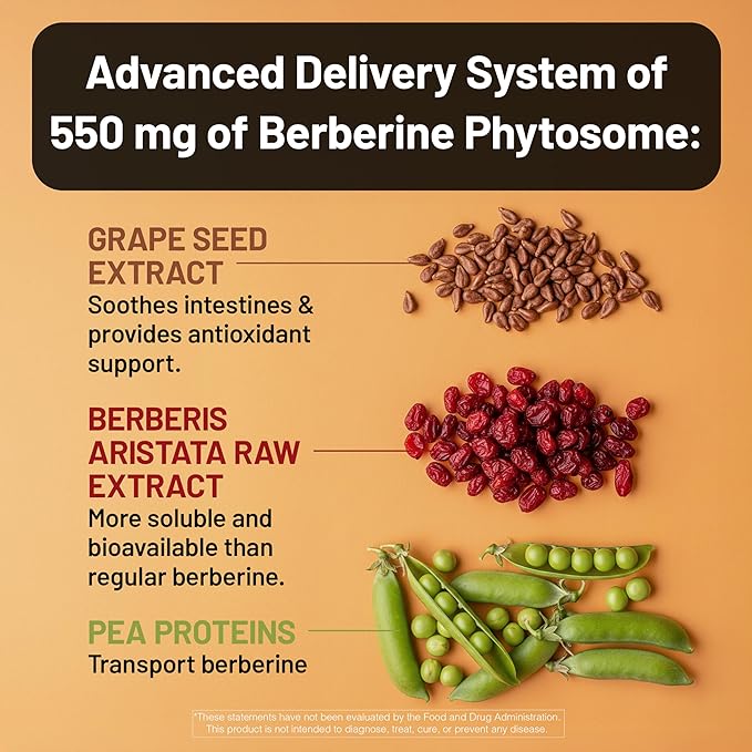 NatureWise Berberine 1000mg - Berberine Phytosome + HCI + Turmeric &amp Digestive Enzymes - Supports Healthy Blood Sugar + GI + Metabolism + Cholesterol - Non-GMO USA Manufactured - [30 Day Supply]