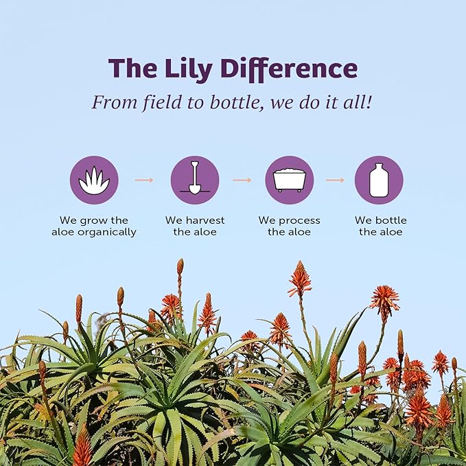 Lily of the Desert Aloe Vera Juice Preservative Free Whole Leaf Filtered Aloe Vera Drink 128 Fl Oz with Cup Bottle