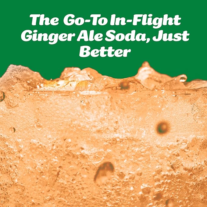 Slice Healthy Soda Ginger Ale Prebiotic &amp Probiotic Soda Pop 5g Fiber 35 calories 12 fl oz 12 Pack