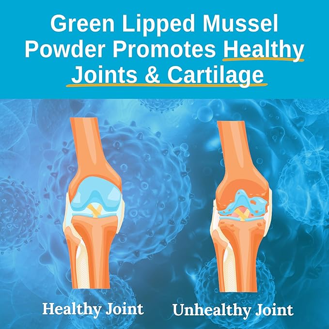 Xtend-Life | Green Lipped Mussel Powder | Extra Strength New Zealand Green Lipped Mussel 2400mg per Serving | for Joint Health &amp Inflammation Management | 120 Capsules (one Month Supply)