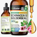 BIO KRAUTER® Echinacea Goldenseal for Immune &amp Respiratory Support - Pure Vegan Echinacea Drops with Goldenseal - Natural Respiratory Supplements 4 Fl.Oz 56-Day Supply - Alcohol &amp Sugar Free
