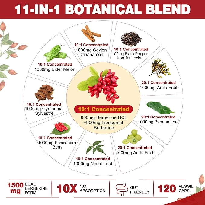 Berberine Supplement Organic 1500mg with Ceylon Cinnamon Bitter Melon Liposomal Berberine HCL Complex Supplements Immune &amp Digestive Support - Non-GMO Organic Vegan Berberine Capsules 120Cts
