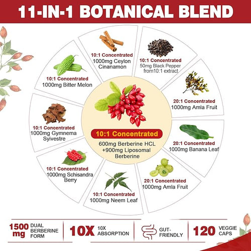 2 Pack 1500mg Liposomal Berberine HCL with Ceylon Cinnamon Bitter Melon Organic Berberine Complex Supplements with Banana Leaf Supports Immune &amp Digestion - Vegan 240 Capsules