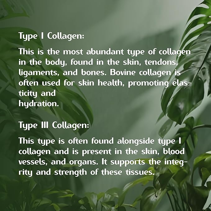 Chicken Collagen Type ii Capsules -Nutritional Supplement for Joint Skin &amp Bone Support-Non-GMO Anti-Aging Supplements with Hydrolyzed Collagen Peptides - 100 Capsules