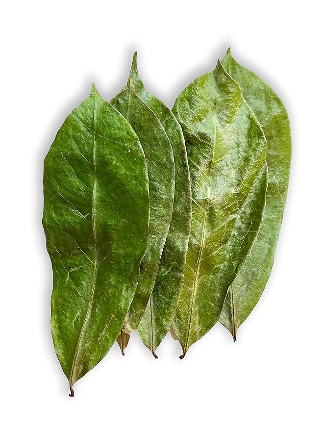 100 soursop Leaves Dried Well Cleaned Healthy Soursop Leaves Guanabana Graviola