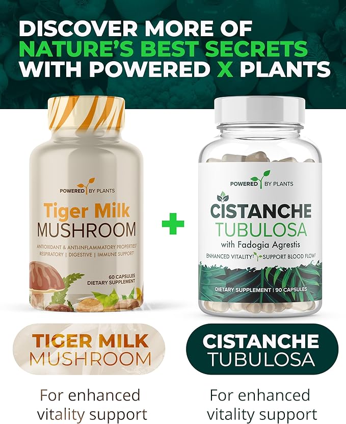 Tiger Milk Mushroom Supplement - 500mg Per Capsule with 50% Beta-Glucan - Supports Respiratory Function Cognitive Clarity Digestive Balance &amp Immune Wellness - 60 Count