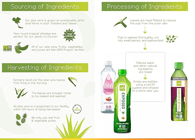ALO Aloe Vera Juice Drink | BLUSH - Aloe Vera + Strawberry | 16.9 fl oz Pack of 12 | Plant-Based Drink with Real Aloe Pulp