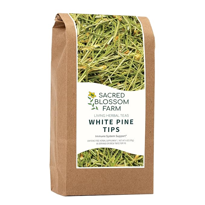 White Pine Needle Tea Wild-Harvested in Wisconsin | 6.0 oz | 85 Servings | Loose Leaf | Herbal Tea &amp Medicinal Herbs | Regenerative Farming | Single Source | Pinus strobus