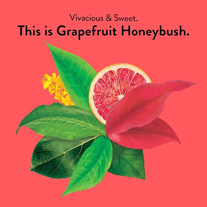 Choice Organic Grapefruit Honeybush Herbal Tea Caffeine Free 16 Bags (Pack Of 6)
